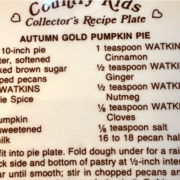 Vtg 1989 WATKINS Country Kids Pumpkin Pie Plate w/ Recipe 10.5" diameter x 2" h - Picture 8 of 11